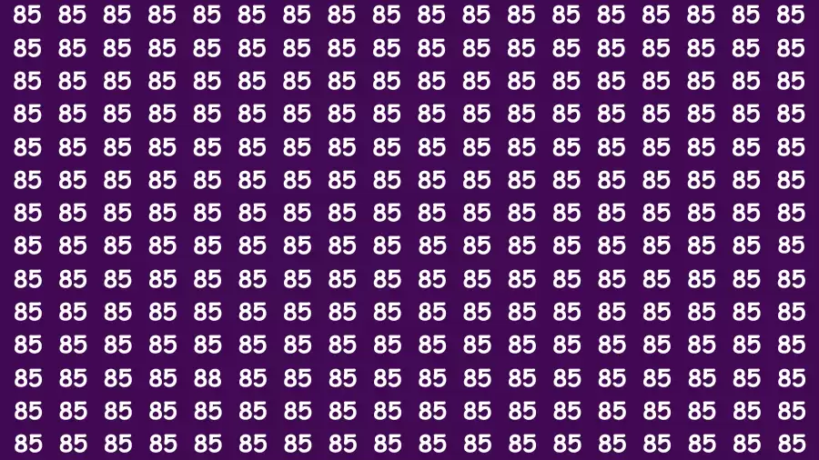 Observation Visual Test: If you have Eagle Eyes Find the number 88 in 12 Secs