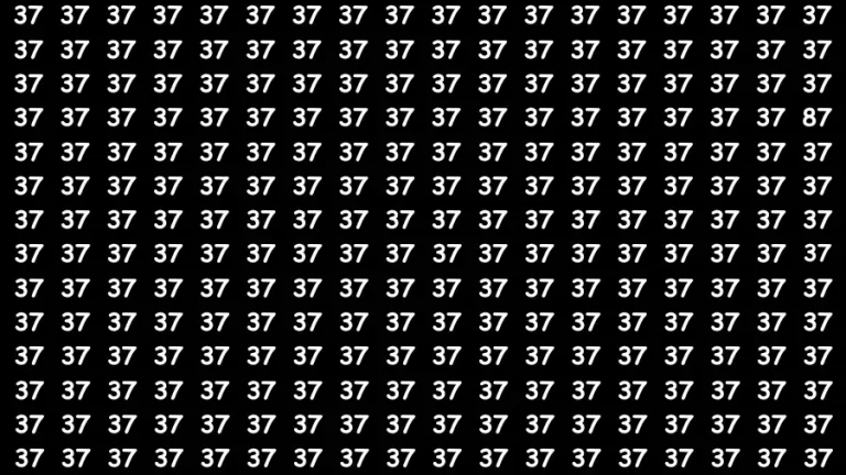 Visual Test: If you have Eagle Eyes Find the Number 87 in 15 Secs