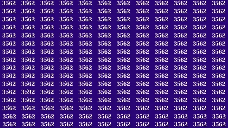 Optical Illusion Brain Test: If you have Sharp Eyes Find the number 3592 in 20 Secs