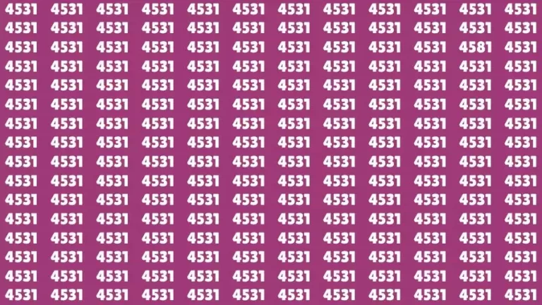 Optical Illusion Brain Challenge: If you have Hawk Eyes Find the Number 4581 among 4531 in 15 Secs