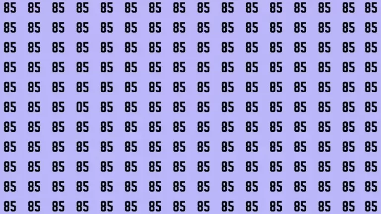 Observation Brain Challenge: If you have Eagle Eyes Find the number 05 in 12 Secs