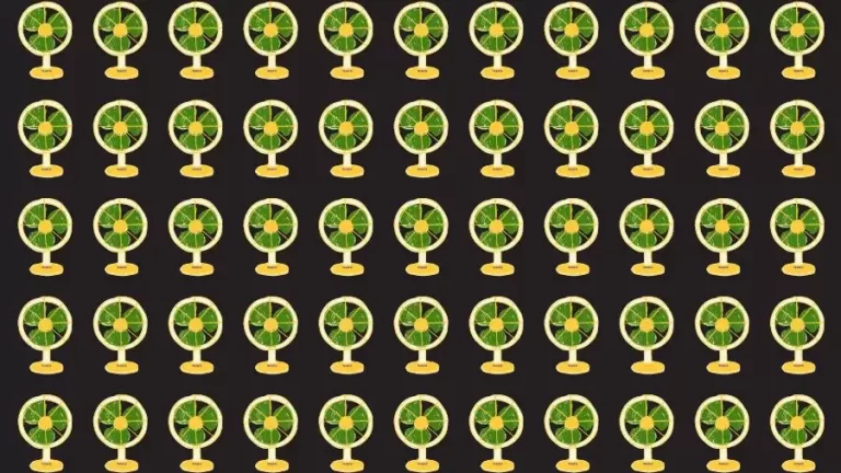 Optical Illusion Brain Test: If you have Eagle Eyes find the Odd Fan in 8 Seconds