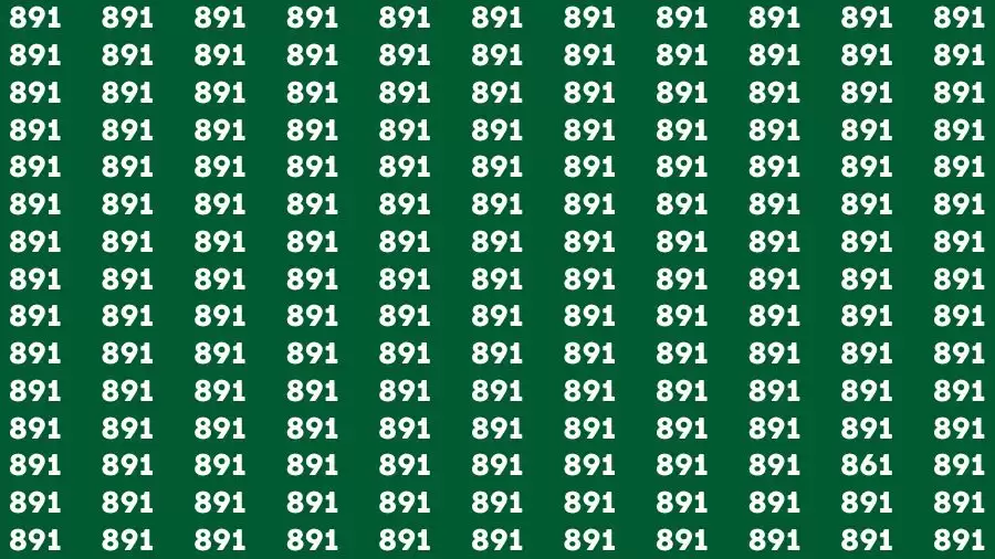 Observation Brain Challenge: If you have Eagle Eyes Find the number 861 among 891 in 12 Secs