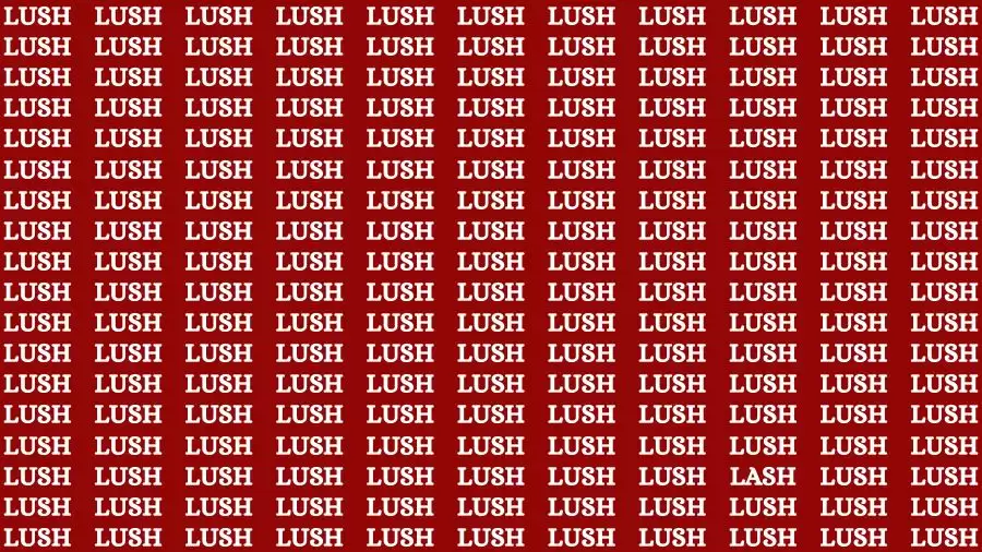 Observation Skill Test: If you have Keen Eyes Find the Word Lash in 15 Secs