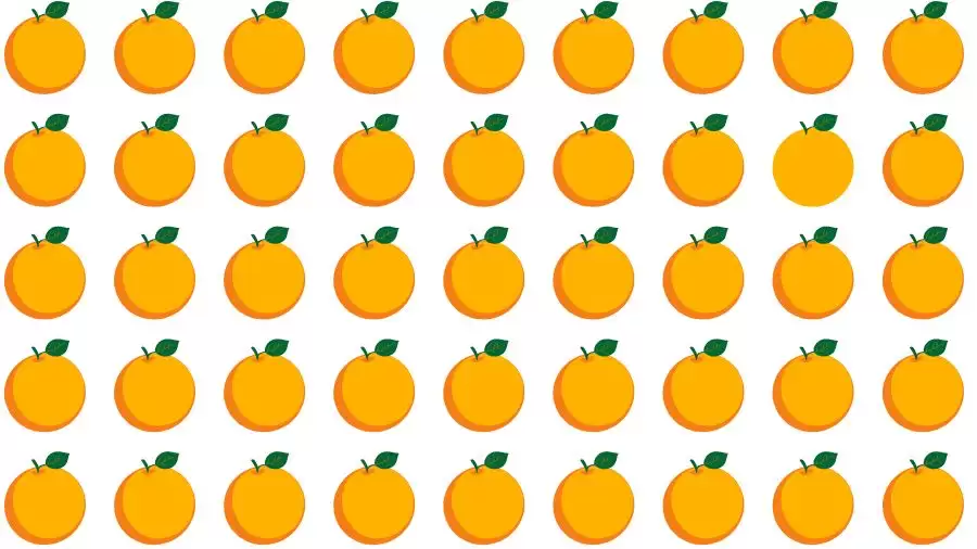 Optical Illusion Challenge: If you have Eagle Eyes find the Odd Orange in 15 Seconds