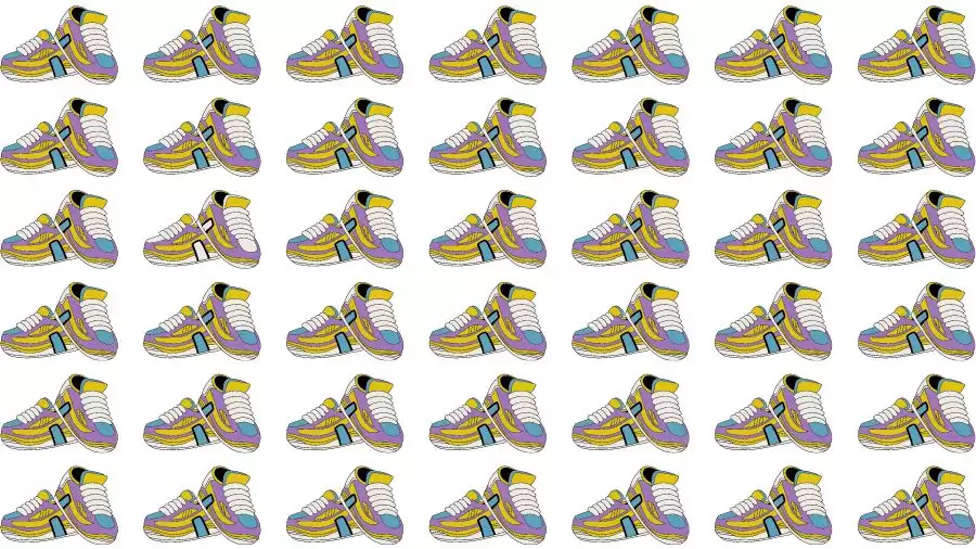 Optical Illusion Brain Test: If you have Eagle Eyes find the Odd Shoes in 8 Seconds