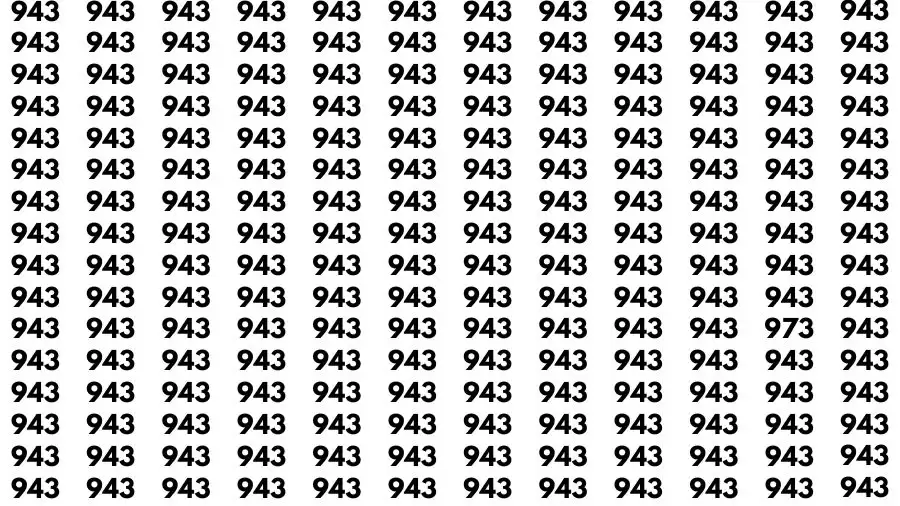 Test Visual Acuity: If you have Hawk Eyes Find the Number 973 in 15 Secs