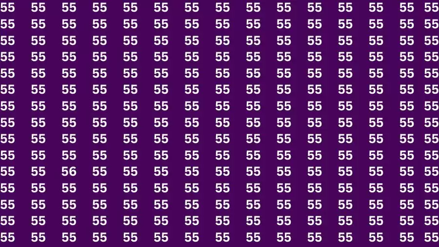 Observation Skill Test: If you have Sharp Eyes Find the Number 56 among 55 in 15 Secs