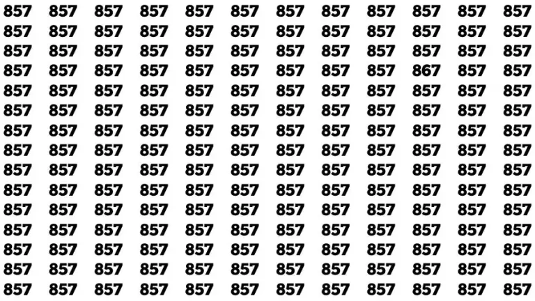 Observation Find it Out: If you have Sharp Eyes Find the number 867 among 857 in 20 Secs