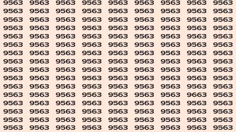 Observation Brain Challenge: If you have Hawk Eyes Find the Number 9663 among 9563 in 15 Secs