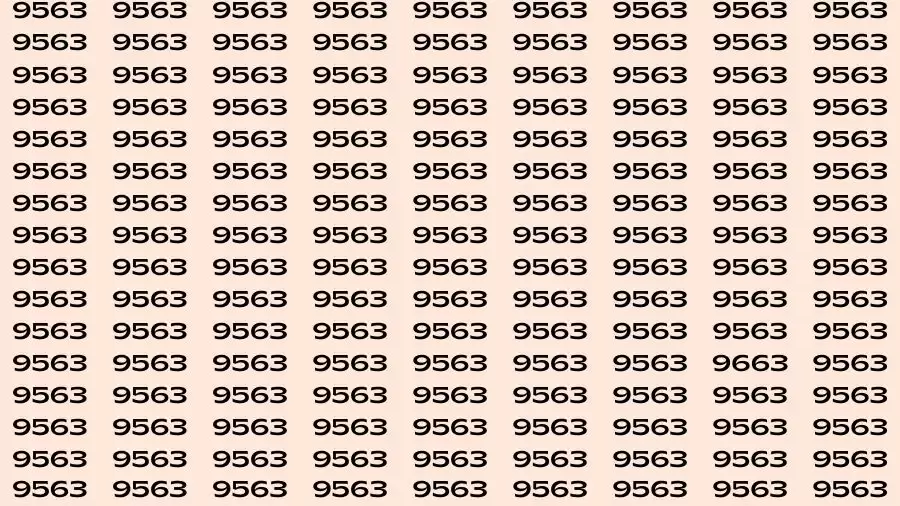 Observation Brain Challenge: If you have Hawk Eyes Find the Number 9663 among 9563 in 15 Secs