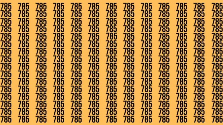 Observation Brain Challenge: If you have Hawk Eyes Find the Number 735 among 785 in 15 Secs