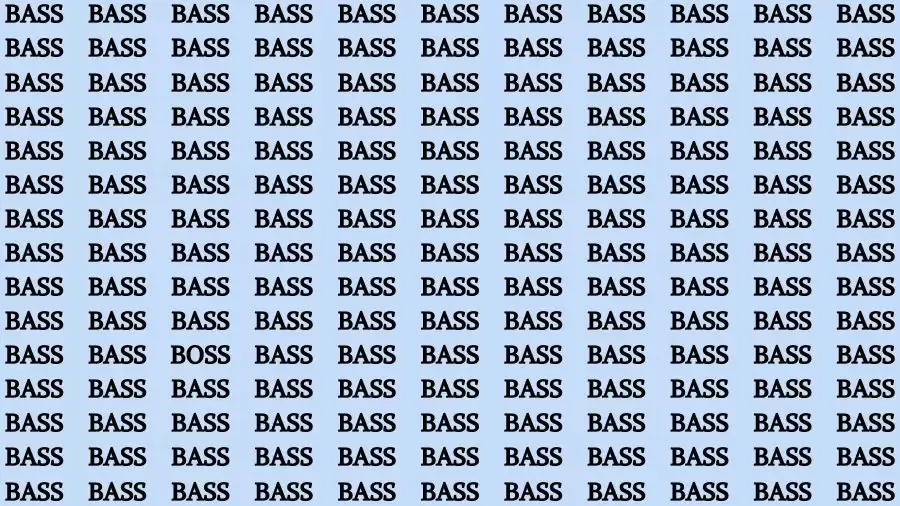 Observation Skill Test: If you have Keen Eyes Find the Word Boss among Bass in 15 Secs