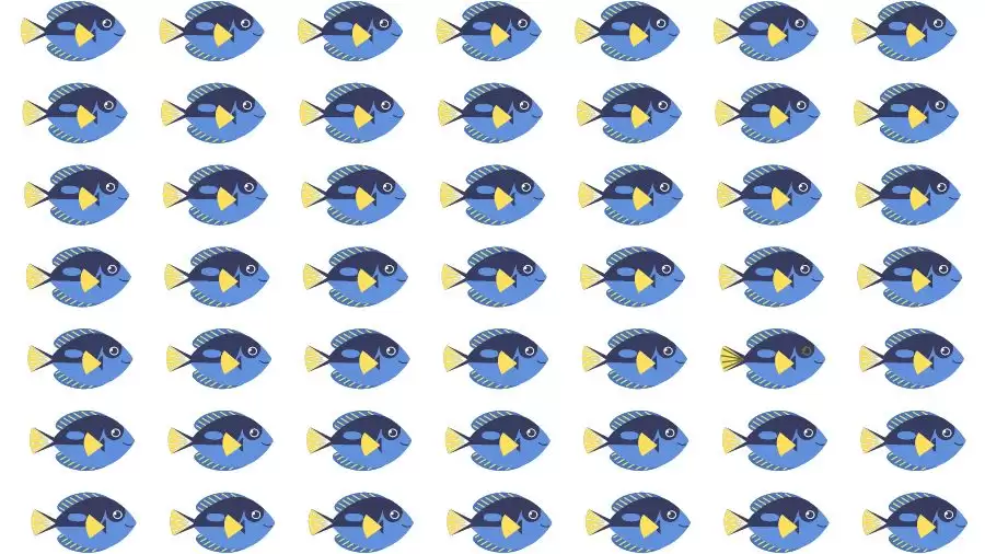 Optical Illusion Challenge: If you have Eagle Eyes find the Odd Fish in 15 Seconds