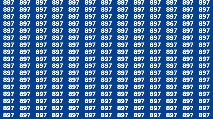 Brain Test: If you have Sharp Eyes Find the number 867 in 20 Secs