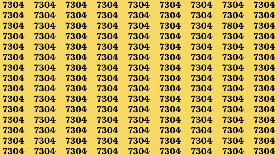 Observation Brain Challenge: If you have Eagle Eyes Find the number 7804 among 7304 in 12 Secs