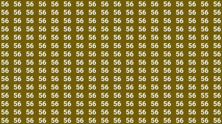 Optical Illusion Brain Challenge: If you have Hawk Eyes Find the Number 55 in 15 Secs