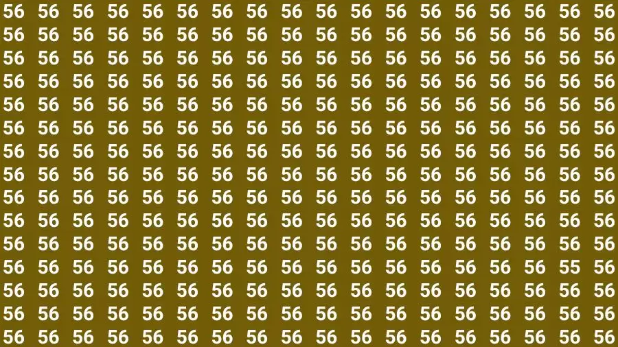 Optical Illusion Brain Challenge: If you have Hawk Eyes Find the Number 55 in 15 Secs