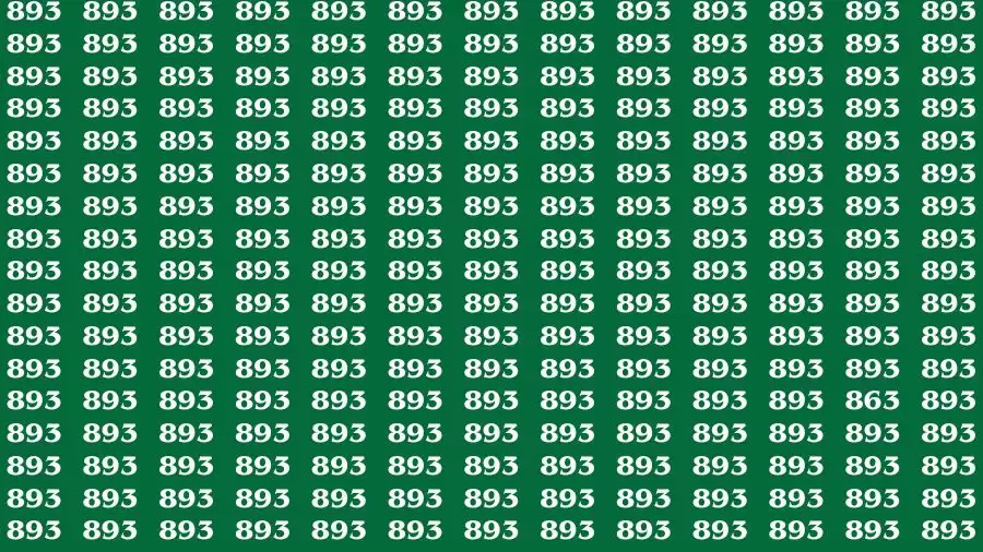 Observation Skill Test: If you have Sharp Eyes Find the Number 863 in 15 Secs