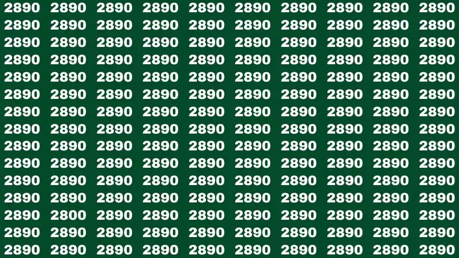 Optical Illusion Brain Test: If you have Sharp Eyes Find the number 2800 in 20 Secs