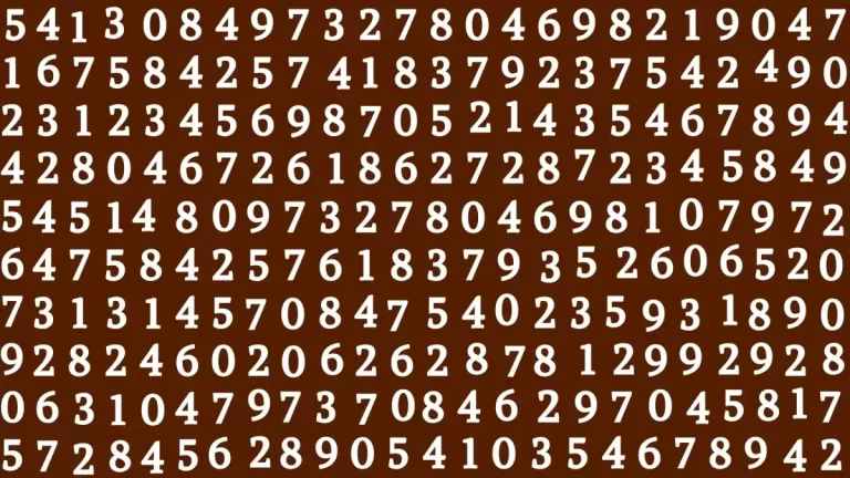 Observation Brain Challenge: If you have Hawk Eyes Find the Number 9217 in 15 Secs