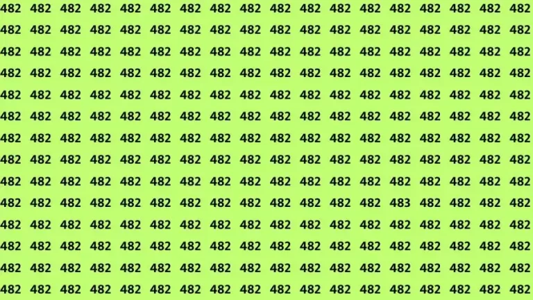 Observation Skill Test: If you have Sharp Eyes Find the Number 483 in 15 Secs