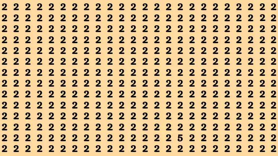 Brain Test: If you have Eagle Eyes Find the Number 5 among 2 in 15 Secs