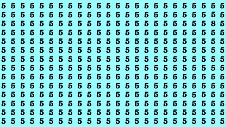 Observation Brain Challenge: If you have Eagle Eyes Find the number 8 in 12 Secs