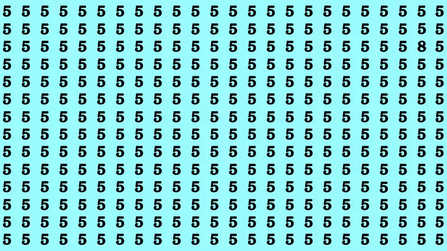 Observation Brain Challenge: If you have Eagle Eyes Find the number 8 in 12 Secs