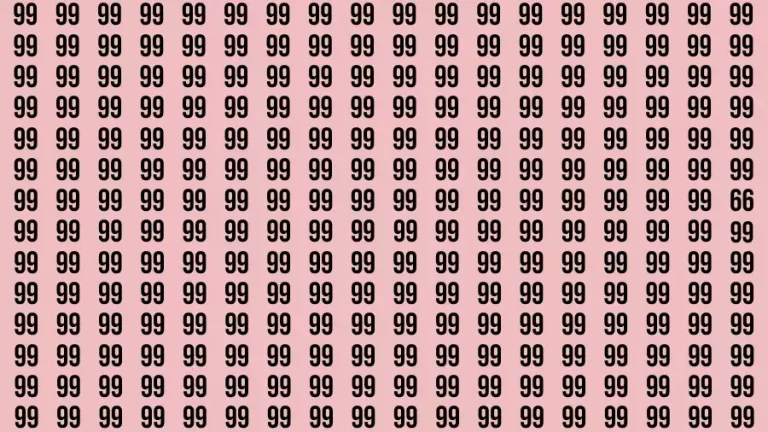 Observation Brain Challenge: If you have Eagle Eyes Find the number 66 in 12 Secs