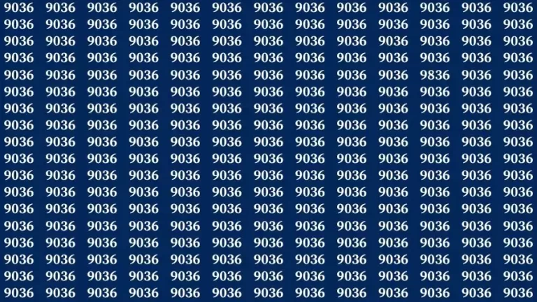 Optical Illusion Brain Challenge: If you have Hawk Eyes Find the Number 9836 in 15 Secs