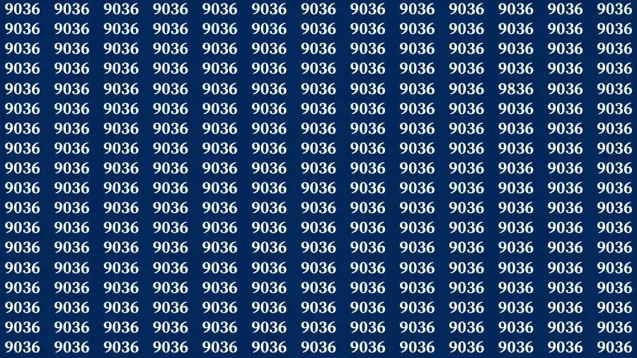 Optical Illusion Brain Challenge: If you have Hawk Eyes Find the Number 9836 in 15 Secs