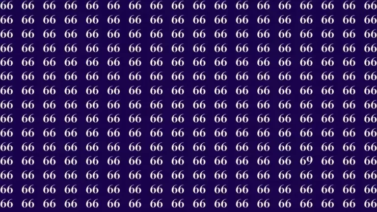 Optical Illusion Brain Challenge: If you have 50/50 Vision Find the number 69 among 66 in 12 Secs