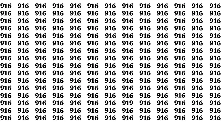 Observation Brain Challenge: If you have Eagle Eyes Find the number 919 in 12 Secs