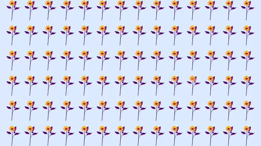 Optical Illusion Brain Test: If you have Eagle Eyes find the Odd Flower in 8 Seconds