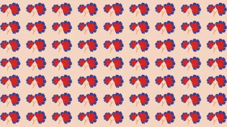 Optical Illusion Challenge: If you have Eagle Eyes find the Odd Leaf in 15 Seconds