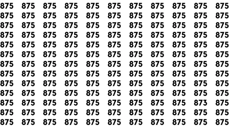 Test Visual Acuity: If you have 50/50 Vision Find the Number 873 in 15 Secs