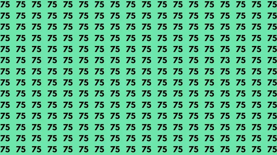 Observation Skill Test: If you have Sharp Eyes Find the Number 73 among 75 in 15 Secs