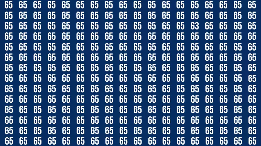 Observation Find it Out: If you have Sharp Eyes Find the number 63 in 20 Secs