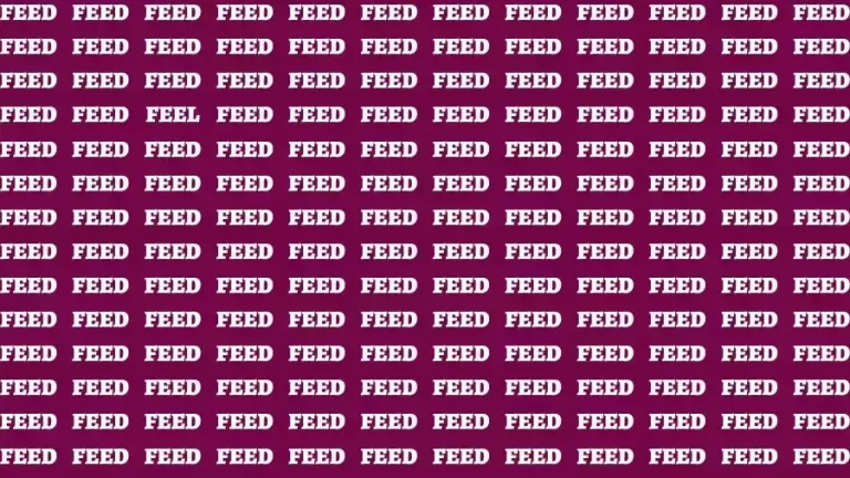 Observation Skill Test: If you have Keen Eyes Find the Word Feel among Feed in 15 Secs