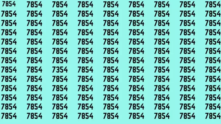 Brain Test: If you have Eagle Eyes Find the Number 7354 in 15 Secs