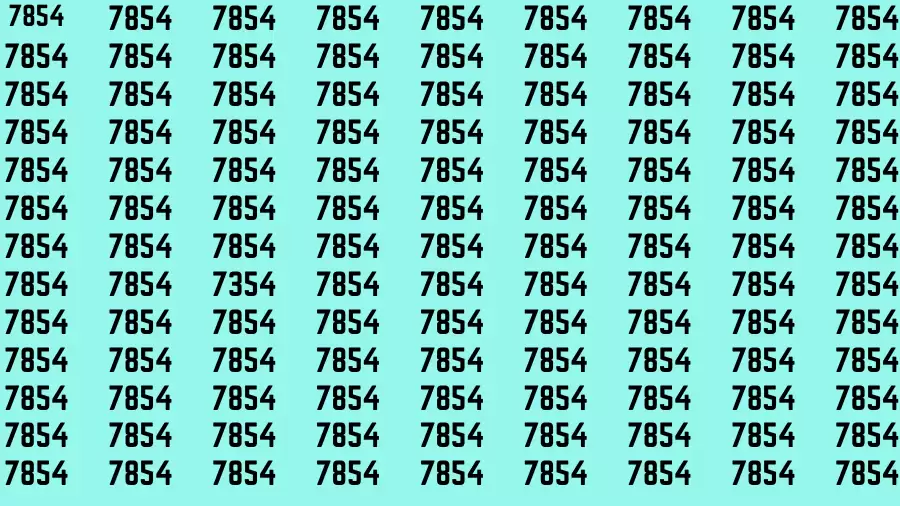 Brain Test: If you have Eagle Eyes Find the Number 7354 in 15 Secs