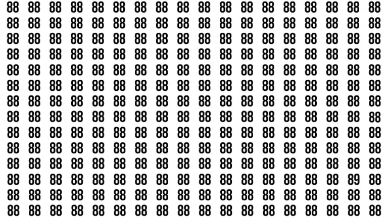 Test Visual Acuity: If you have Hawk Eyes Find the number 89 in 12 Secs