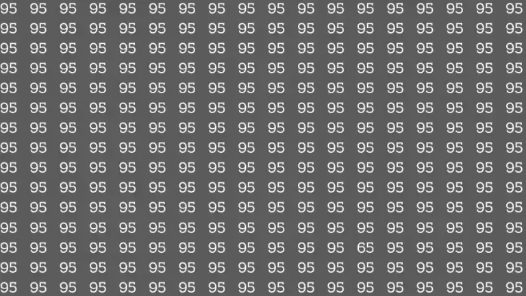 Observation Skill Test: If you have Eagle Eyes Find the number 65 among 95 in 15 Seconds?