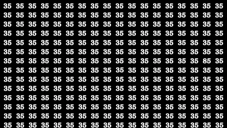 Observation Brain Challenge: If you have Eagle Eyes Find the Number 85 in 15 Secs