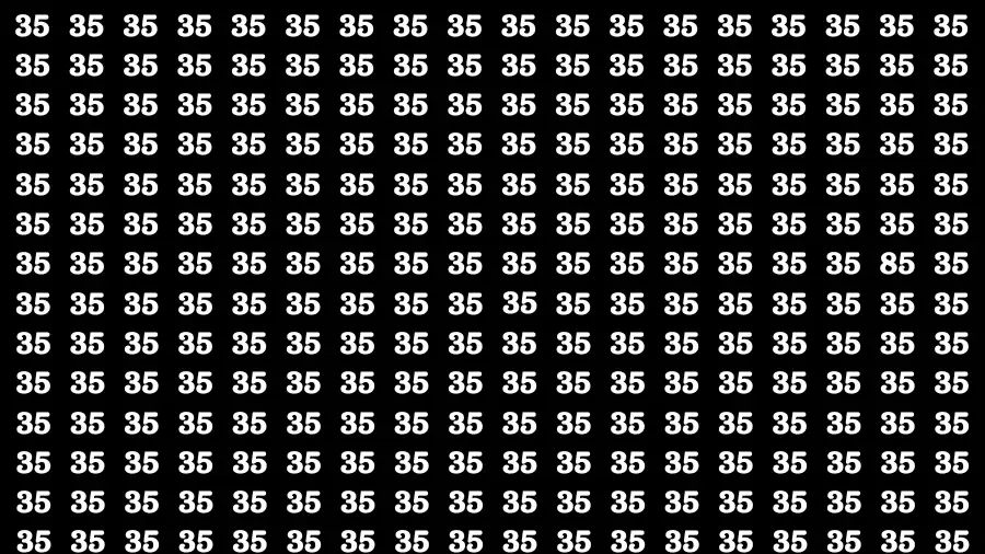 Observation Brain Challenge: If you have Eagle Eyes Find the Number 85 in 15 Secs