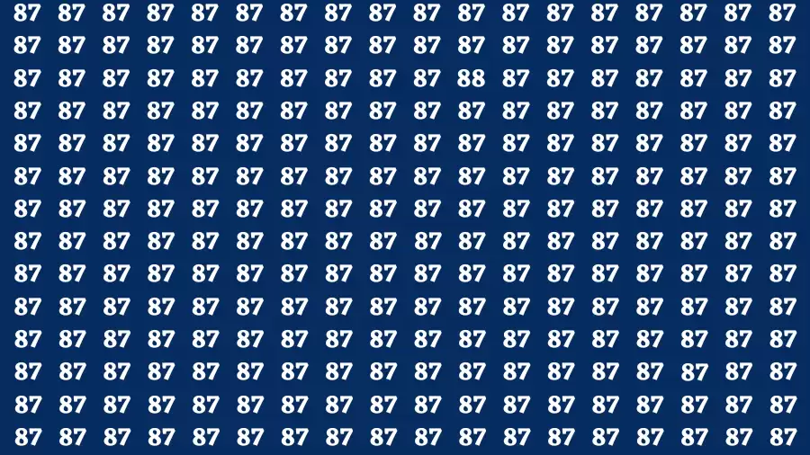 Observation Find it Out: If you have Sharp Eyes Find the number 88 in 20 Secs