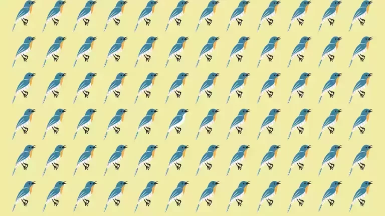 Optical Illusion Brain Test: If you have Eagle Eyes find the Odd Bird in 8 Seconds