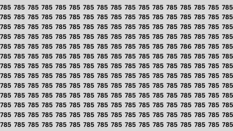 Brain Test: If you have Hawk Eyes Find the Number 786 in 12 Secs