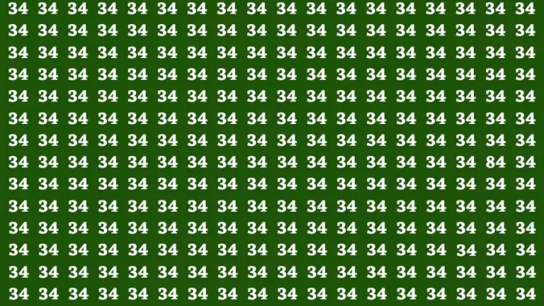 Observation Brain Test: If you have Hawk Eyes Find the Number 84 in 15 Secs